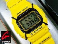 DW-5600VT-9T フェアリーズチャーム