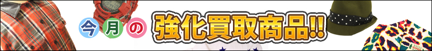 シーズン別の強化買取アイテムを大紹介♪